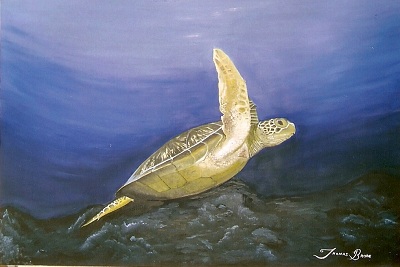 Sea Turtle Painting from diving photo